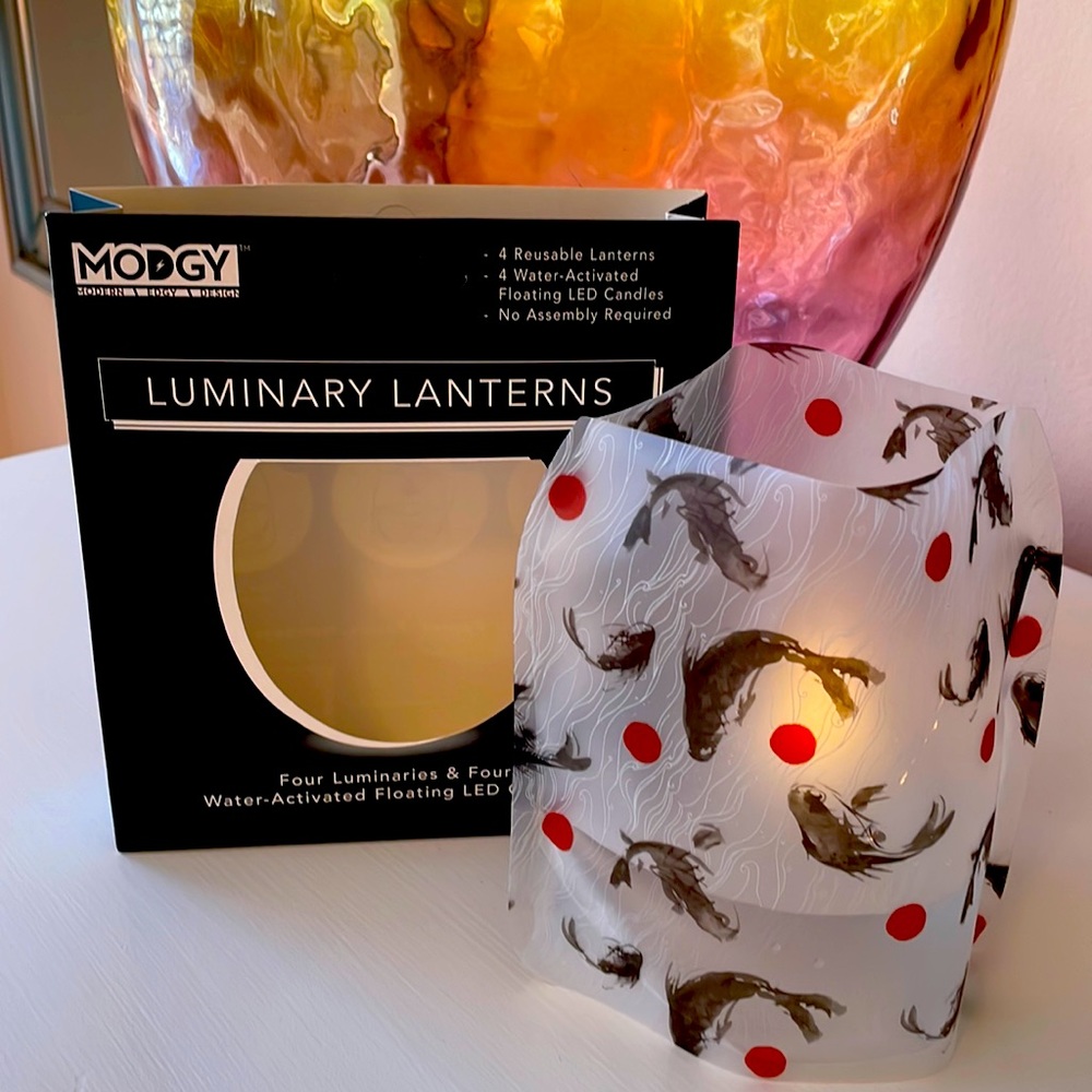 ⚫️Water Activated Luminary Lanterns